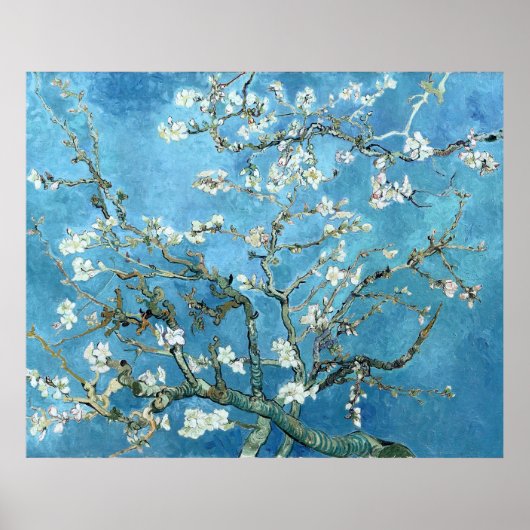 VINCENT VAN GOGH - ALMOND BLOSSOMS POSTER (Voorkant)