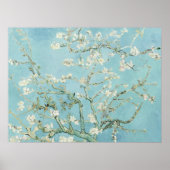 Vincent Van Gogh Amandelbloesem Kunstdruk  Poster (Voorkant)