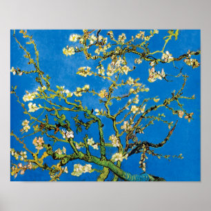 Vincent Van Gogh - Bloeiende amandelboom Kunst Poster