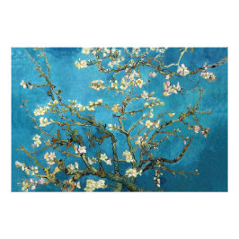 Vincent van Gogh, Blossoming Almond Tree. Vintage Foto Afdruk