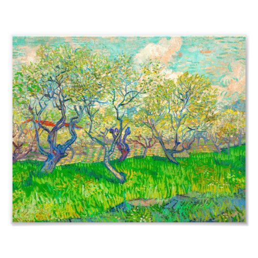 Vincent van Gogh Boomgaard in Blossom Foto Afdruk (Voorkant)