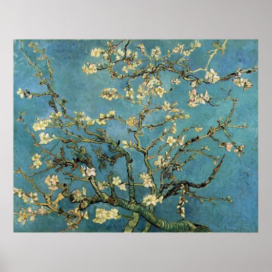 Vincent van Gogh Branches met Almond Blossom Poster (Voorkant)