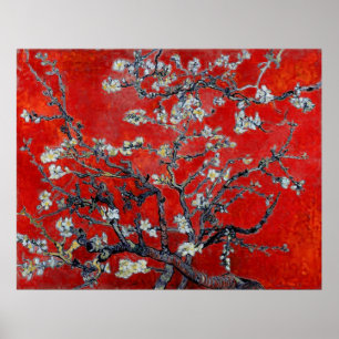 Vincent van Gogh ~ Branches met Almond Blossom Poster