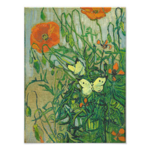 Vincent Van Gogh - Butterflies en poppies Foto Afdruk