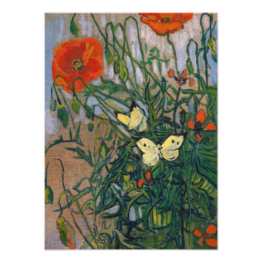Vincent van Gogh - Butterflies en Poppies Foto Afdruk (Voorkant)