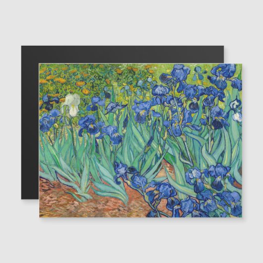 Vincent Van Gogh - Carte magnétique Irises (Devant / Derrière)