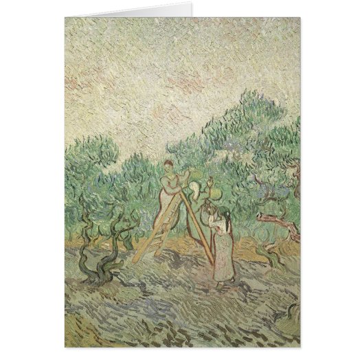 Vincent van Gogh - Cueillette des olives (Devant)