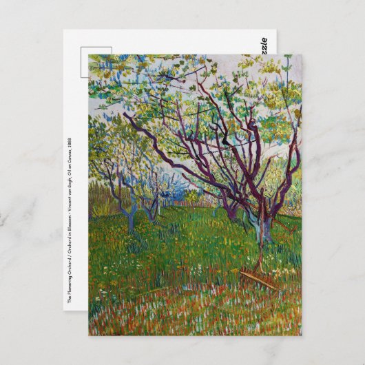Vincent van Gogh - De Bloeiende Boomgaard Briefkaart (Voorkant / Achterkant)