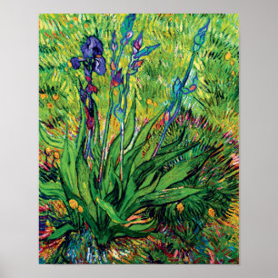 Vincent Van Gogh - De Iris - Bloemenliefhebber Pop Poster