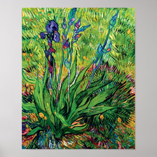 Vincent Van Gogh - de Iris - de Flower Lover Pop A Poster (Voorkant)