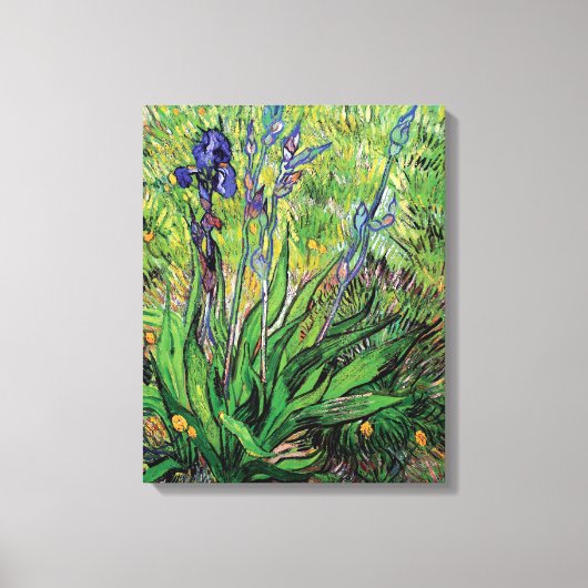 Vincent Van Gogh - de Iris Natuur Lover Fine Art Canvas Afdruk (Voorkant)