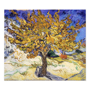 Vincent van Gogh - De Moerbeboom Foto Afdruk
