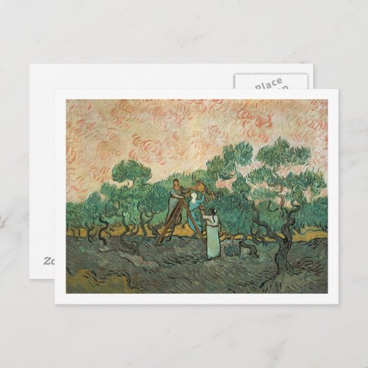 Vincent van Gogh | De olijventelers, Saint-Remy Briefkaart (Voorkant / Achterkant)