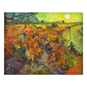 Vincent van Gogh - De Rode Vineyard Foto Afdruk