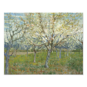 Vincent van Gogh - De roze Orchard Foto Afdruk
