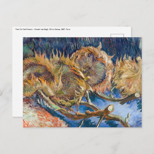 Vincent van Gogh - Four Cut Sunflower Briefkaart (Voorkant / Achterkant)