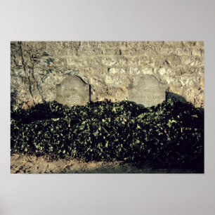 Vincent van Gogh Graven, Vincent, Theo van Gogh Poster