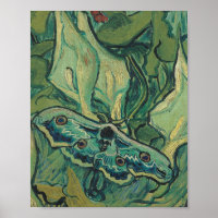 Vincent Van Gogh - Great Peacock Moth