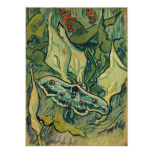 Vincent van Gogh - Groot Pauwoogje Foto Afdruk