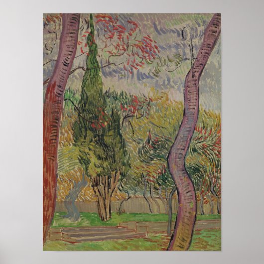 Vincent van Gogh | Het park van de Saint-Paul Poster (Voorkant)
