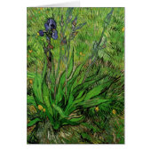 Vincent van Gogh - Iris (Devant)