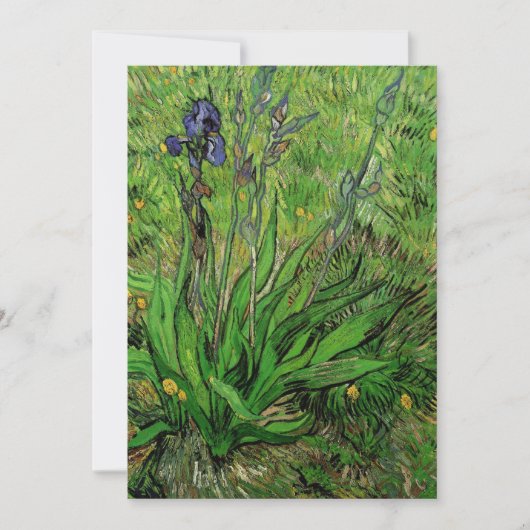 Vincent van Gogh - Iris (Voorkant)