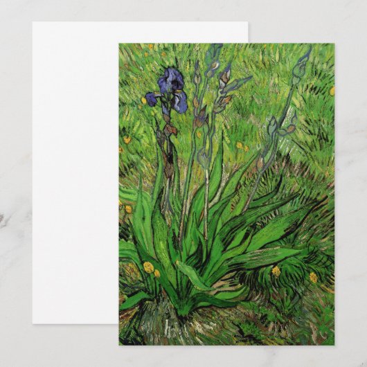 Vincent van Gogh - Iris (Voorkant / Achterkant)