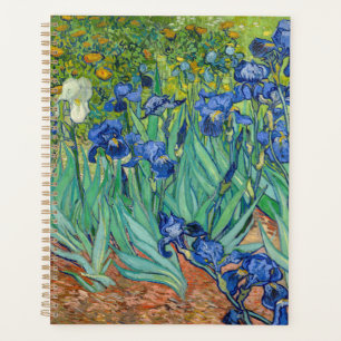 Vincent Van Gogh - Iris
