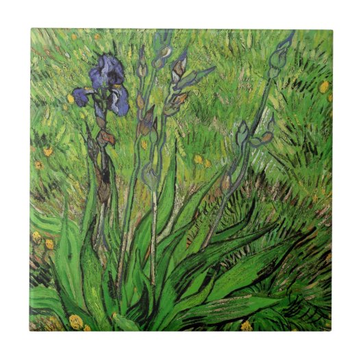 Vincent van Gogh - Iris Tegeltje (Voorkant)