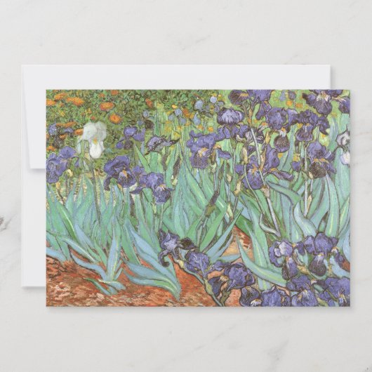 Vincent van Gogh - Irises (Voorkant)