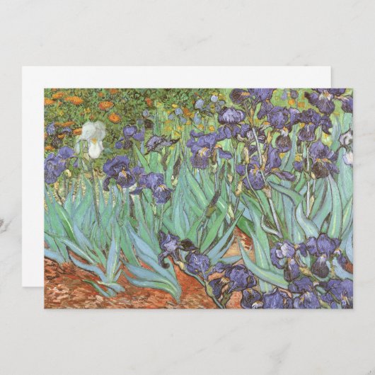Vincent van Gogh - Irises (Voorkant / Achterkant)