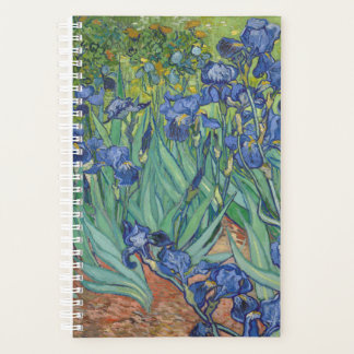 Vincent Van Gogh - Irises