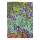 Vincent van Gogh - Irises (Voorkant)