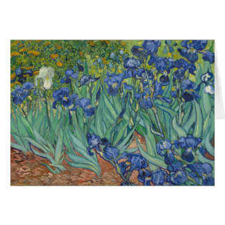 Vincent van Gogh - Irises