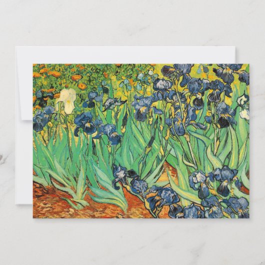 Vincent van Gogh, Irises (Voorkant)