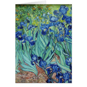 Vincent van Gogh Irises