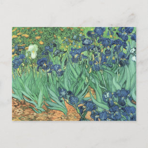 Vincent van Gogh Irises, 1889 Briefkaart