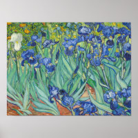 Vincent Van Gogh - Irises 1889