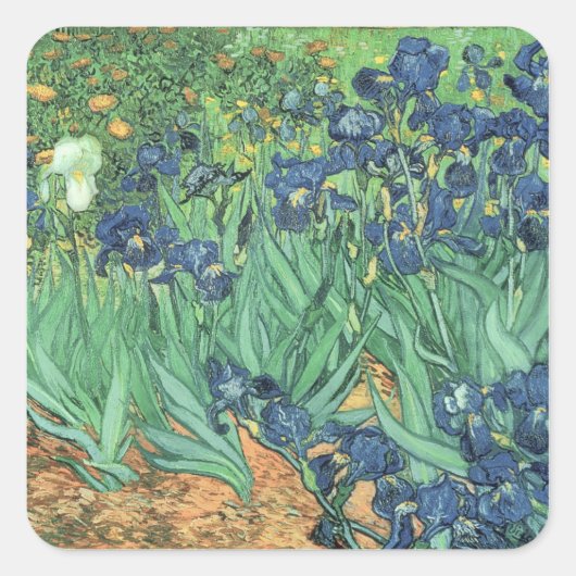 Vincent van Gogh | Irises, 1889 Vierkante Sticker (Voorkant)