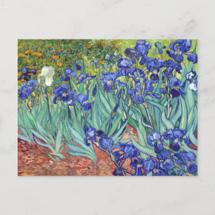 Vincent van Gogh Irises Briefkaart