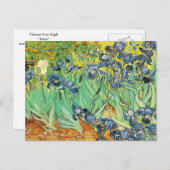 Vincent Van Gogh - Irises Briefkaart (Voorkant / Achterkant)