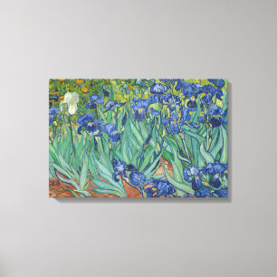 Vincent van Gogh - Irises Canvas Afdruk