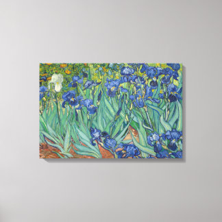 Vincent van Gogh - Irises Canvas Afdruk
