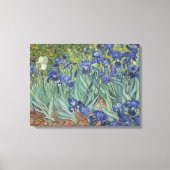 Vincent Van Gogh Irises Canvas Afdruk (Voorkant)