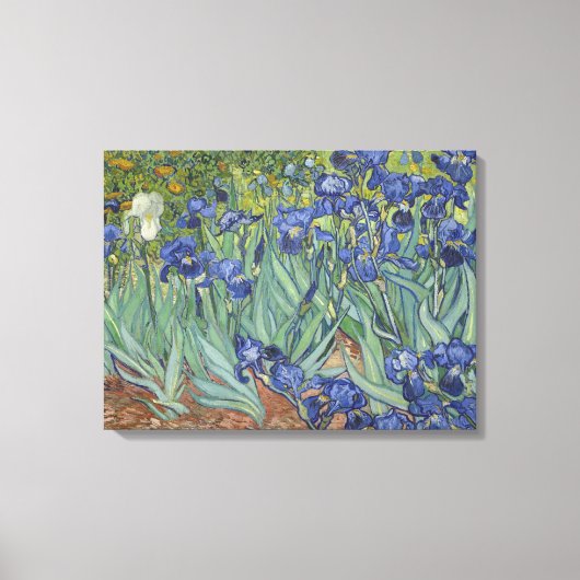 Vincent Van Gogh Irises Canvas Afdruk (Voorkant)