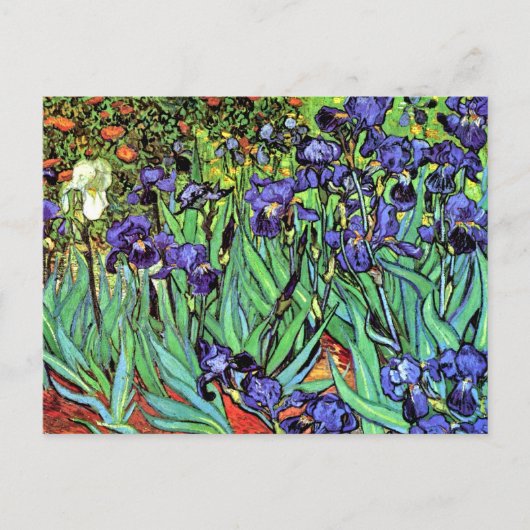 Vincent Van Gogh - Irises - Flower Lover Fine Art Briefkaart (Voorkant)