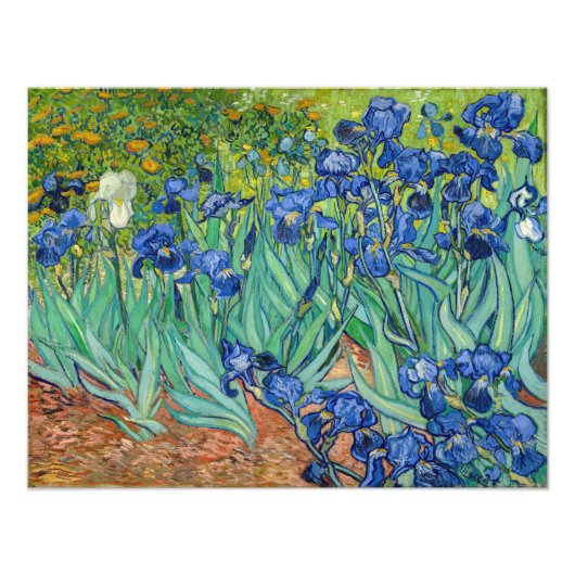 Vincent Van Gogh - Irises Foto Afdruk (Voorkant)
