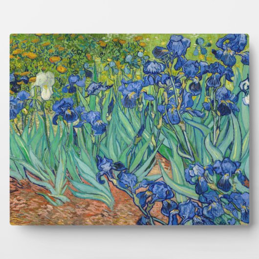 Vincent Van Gogh - Irises Fotoplaat (Voorkant)