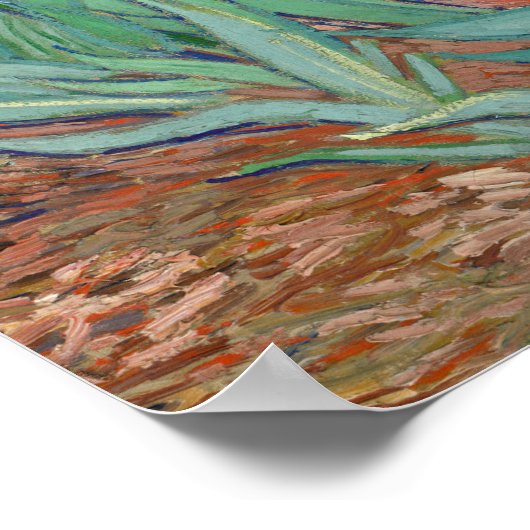 Vincent van Gogh - Irises Poster (Hoek)