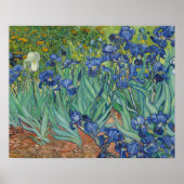 Vincent van Gogh - Irises Poster (Voorkant)